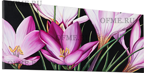 Картина Crocus, фабрика Pintdecor